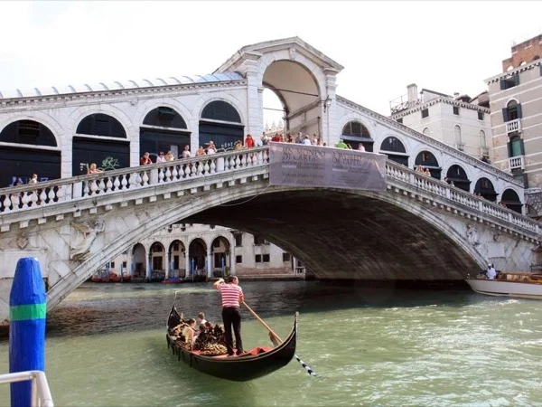 Cover media image