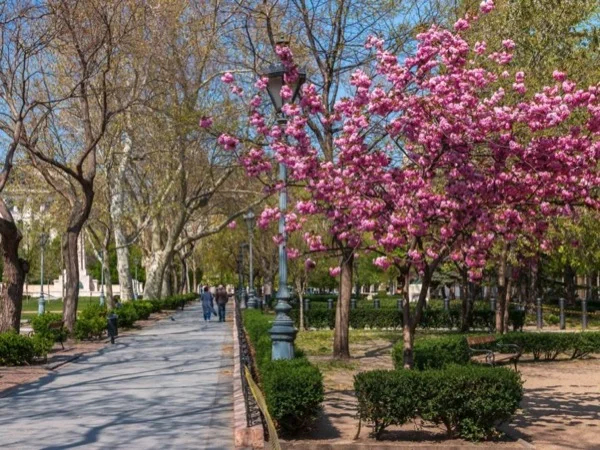 Budapest Highlights: Landmarks of Pest - OUTDOOR Live Virtual Tour