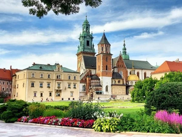 Cover media image