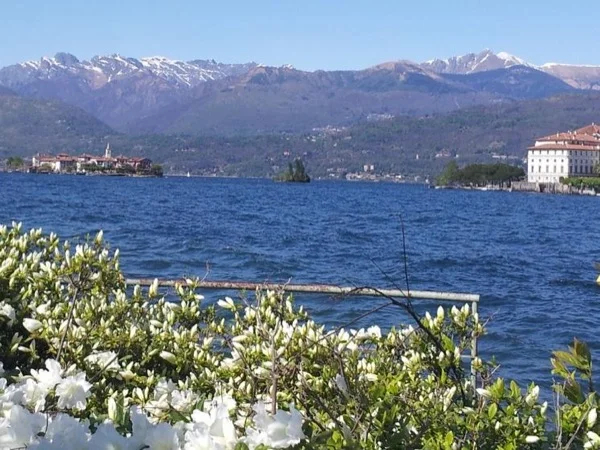 Afternoon tour of Isola Bella and Isola Pescatori