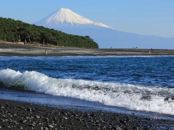 In-Depth Full Day Tour from Shimizu Port i