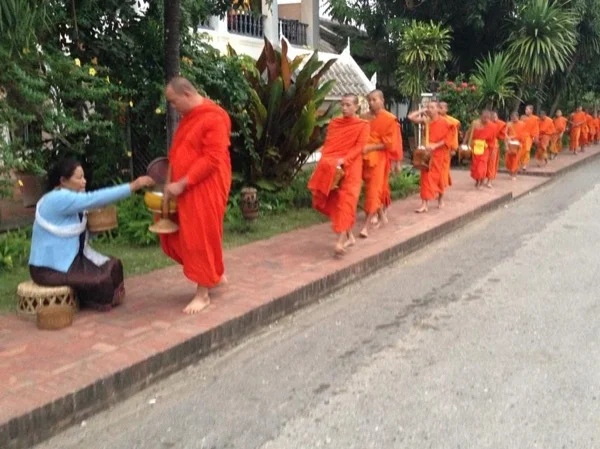 6 Day Tour in Vientiane