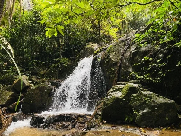 Walking trails : Phra Taew forest park