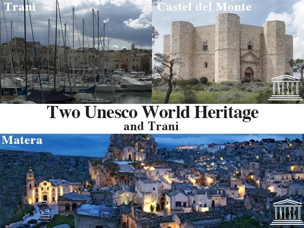 Cover media image