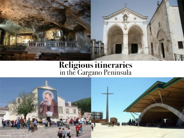 Cover media image