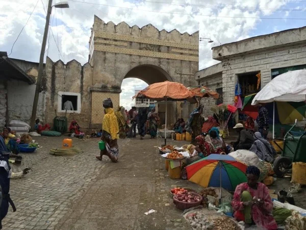 Multi-day Tour to Harar City and Awash National Park