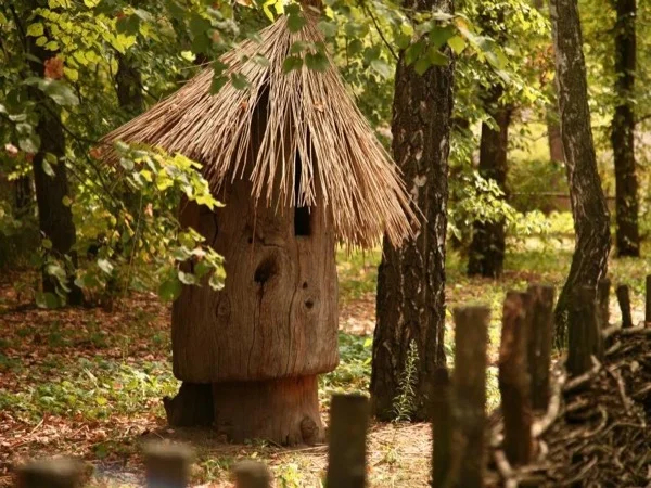 Countryside Tour