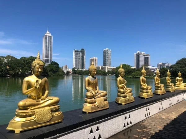 Quick show of Colombo - Half Day Tour