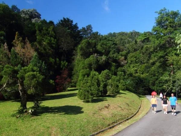 Penang Botanic Gardens Tour