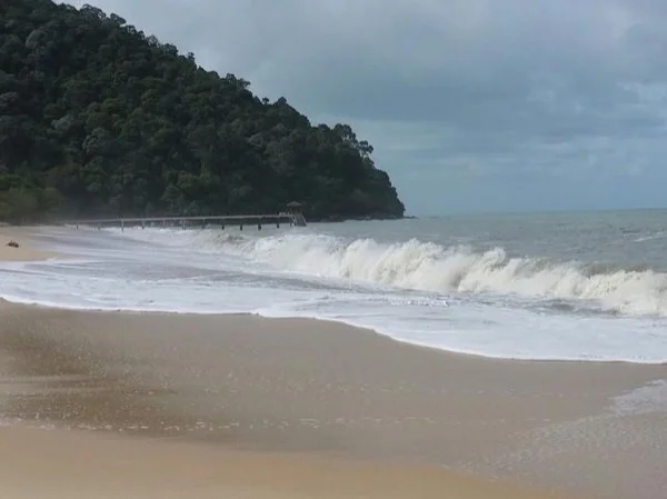 Penang National Park Nature Tour - Full Day Trip