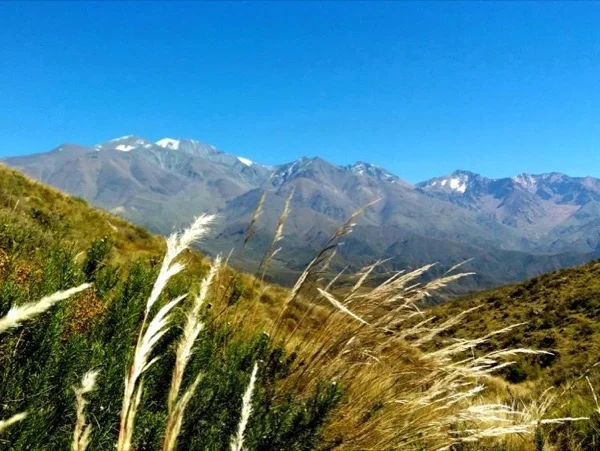 Mendoza Landscaped hiking