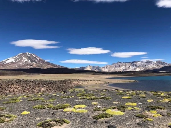 Laguna del Diamante Tour - (tent camping overnight)