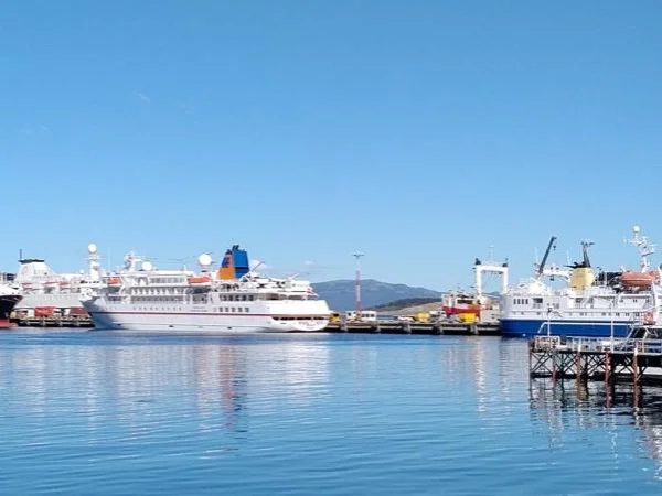 Explore Ushuaia in depth on a tour with a local!