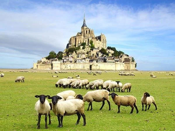 Mont-Saint-Michel from Cherbourg