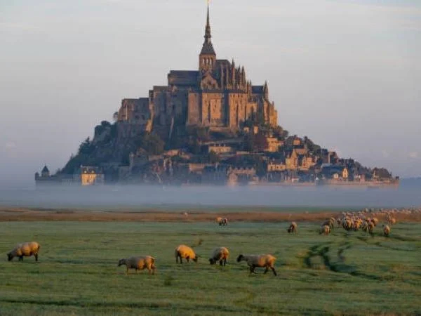 Cover media image