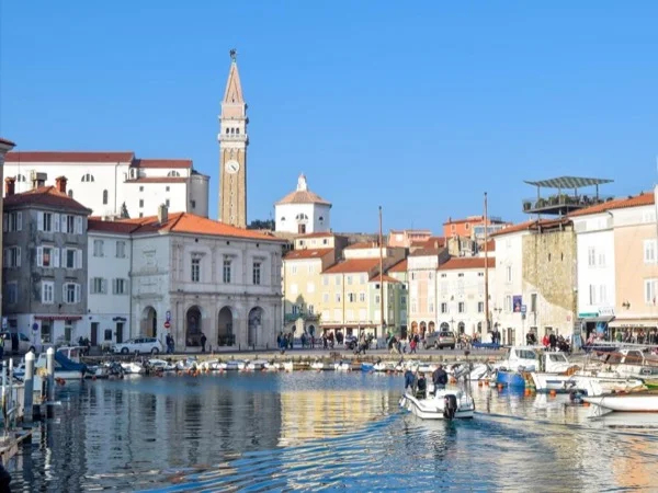 Cover media image