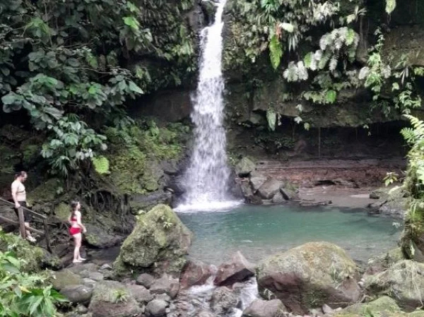 Dominica Multi Waterfall Experience - Private Tour