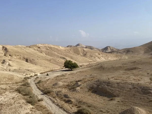 Full Day Judean desert to the River Jordan - Step on tour