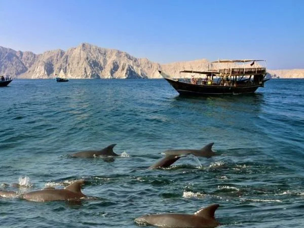 Full Day Musandam Tour