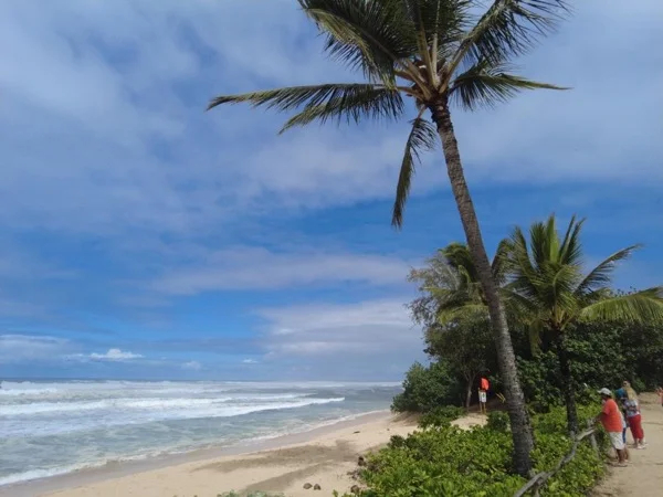 Honolulu Layover Sightseeing Excursion