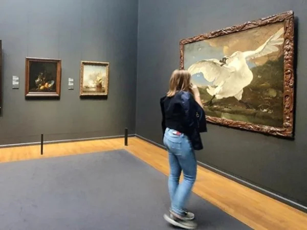 Discover Wonders of the Rijksmuseum, From Art to Architecture, Private Trip