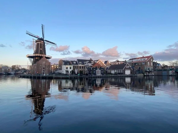Discover Delightful Haarlem, Private Tour