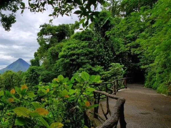 Arenal Volcano Full-Day Tour with a Local
