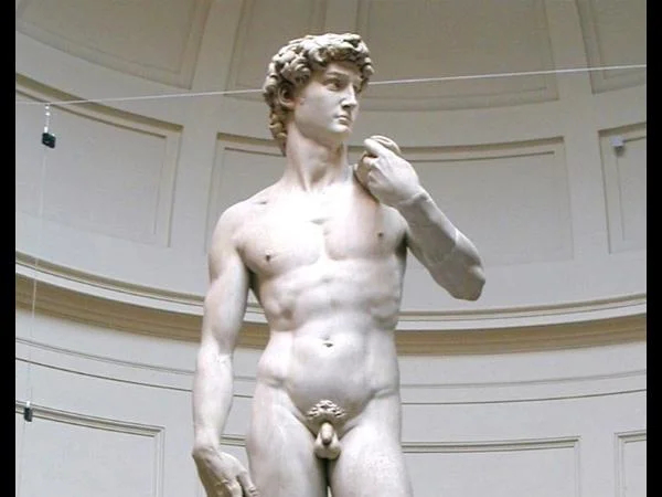 David and the very best of Florence in a 3hrs private tour with skip the line tickets to the museum.