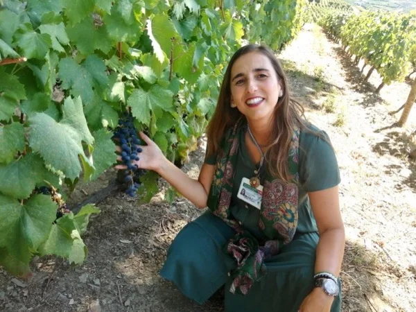 Full Day Douro Valley Wine Tour - 2 Wine Estates and Private Boat
