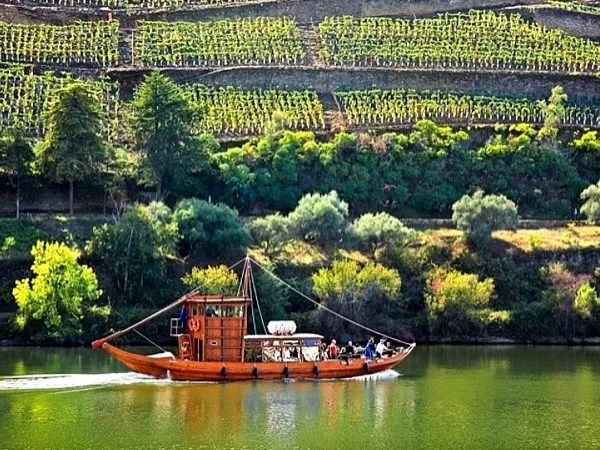 Cover media image