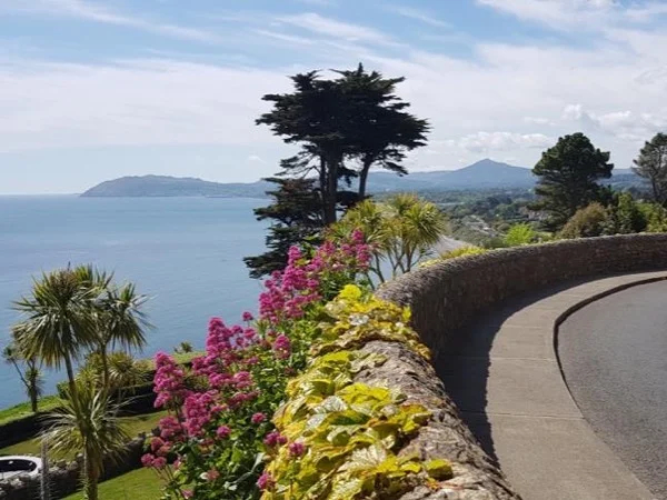 Half Day Dublin Explorer Tour - Up to 4* Guests