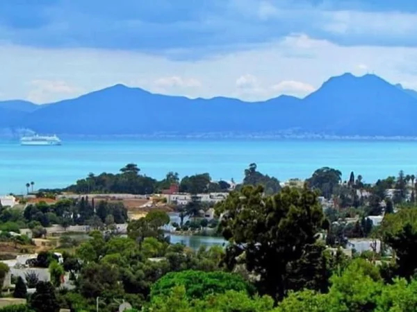 Secrets of Carthage - Half Day Tour in Tunis