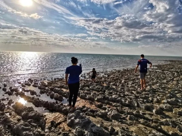 Discover the Aral Sea (2 days)