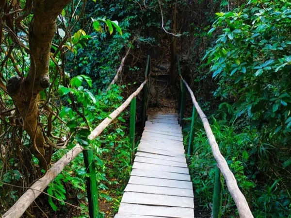 Tremendous Pugu Hills Nature Gateway, Hiking Trip from Dar es Saalam