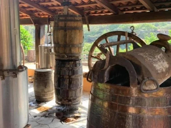 Explore Tequila flavors and the ancient way to tequila and mezcal destilations