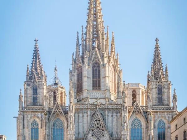 Cover media image