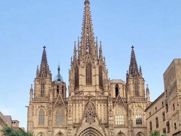 Cover media image