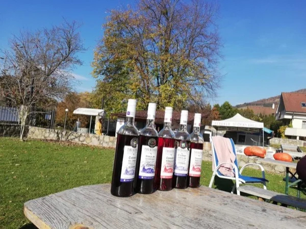 Devin Castle and Wine Tasting, Private Tour from Bratislava City Center