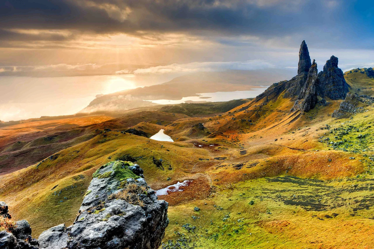 Cover media image