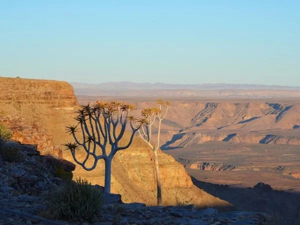 Experience the best of Namibia! - 8 days Private Tour