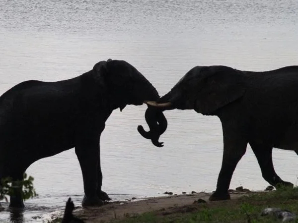 Northeastern Namibia Highlight 9 Days Private Tour