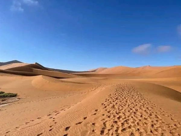 The ultimate Namibia 8 days pravite tour.