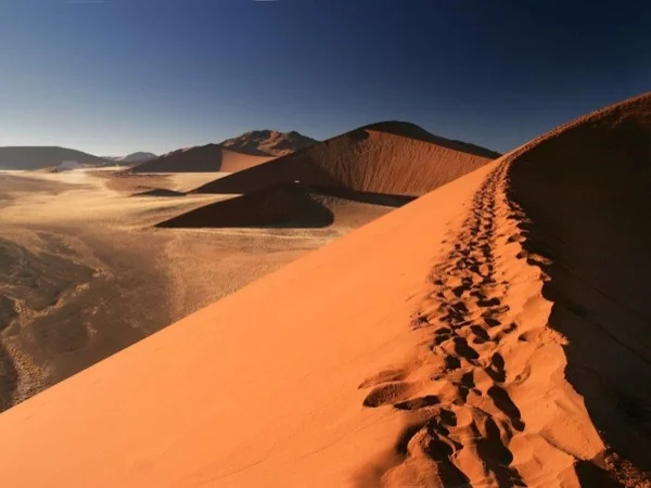 Namib and Kalahari Deserts, so special and so worthy of your visit! - Private 6 Days Tour from Windhoek