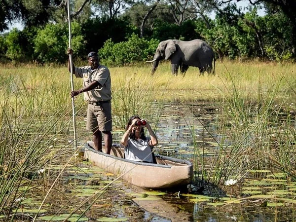 Unforgettable Safari Tour experience in Green and Beautiful Mahango National Park
