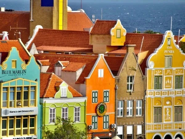 Cover media image