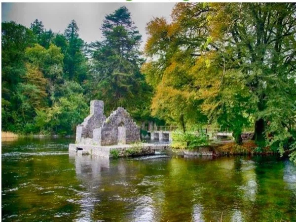 Westport Town and Surrounds - Private Tour