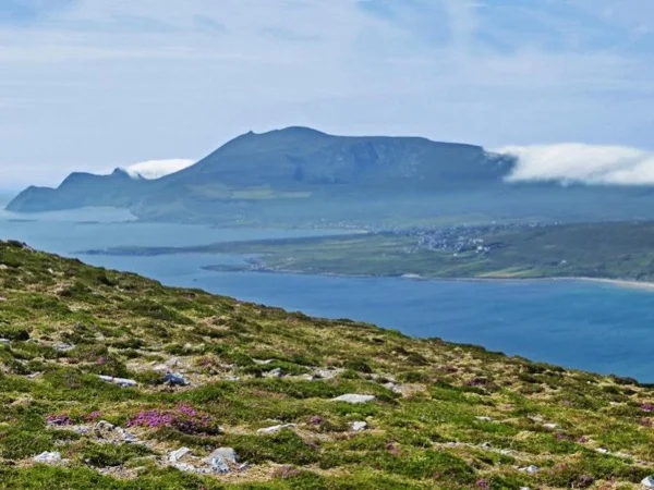 Achill Island Private Tour