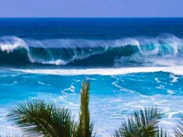 Full Day Private tour of Oahu North shore