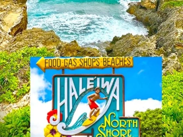 Cover media image