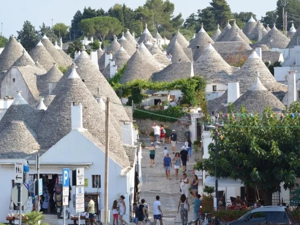 Taste the best that central Puglia has to offer, Private Tour from Monopoli